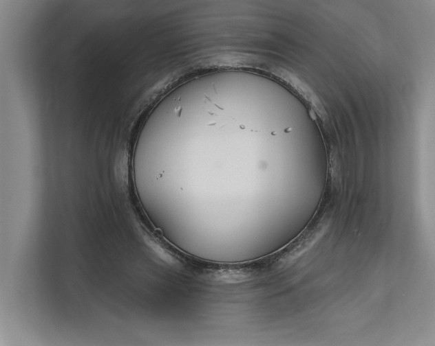 X0000111820445200908061139