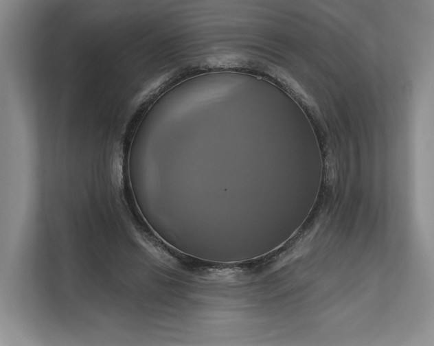 X0000111820446200908061139