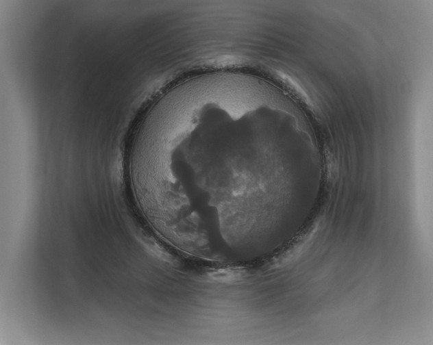 X0000111820447200908061139