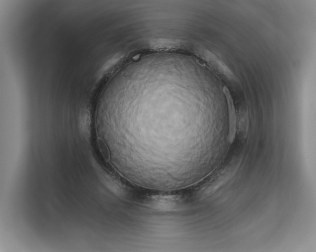 X0000111820448200908061139