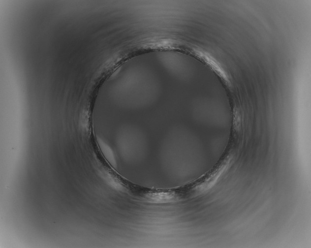 X0000111820449200908061139