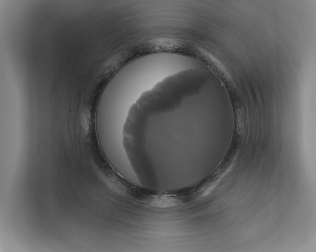 X0000111820451200908061139