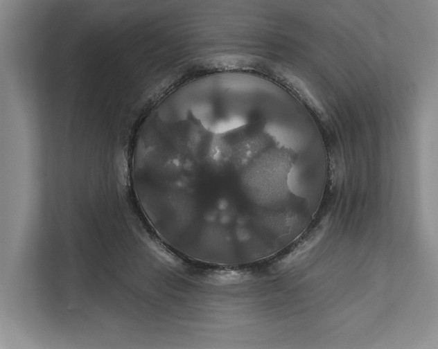 X0000111820453200908061139