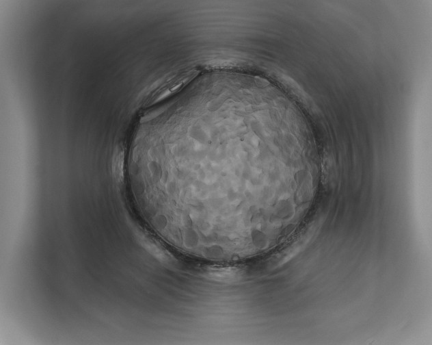 X0000111820454200908061139