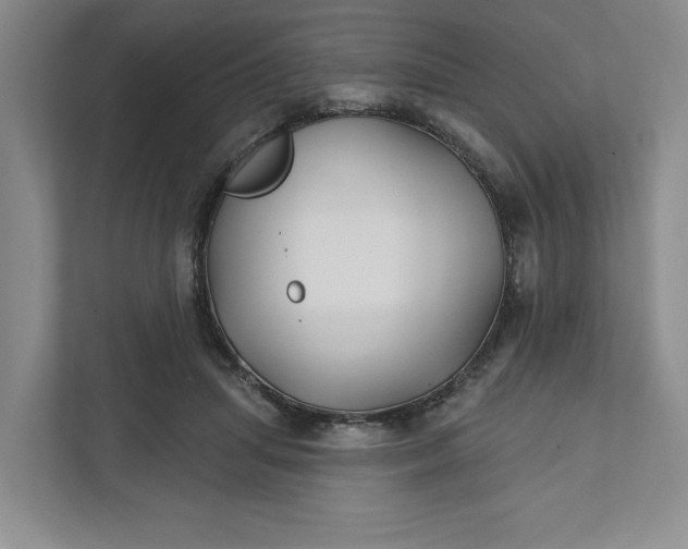 X0000111820455200908061139