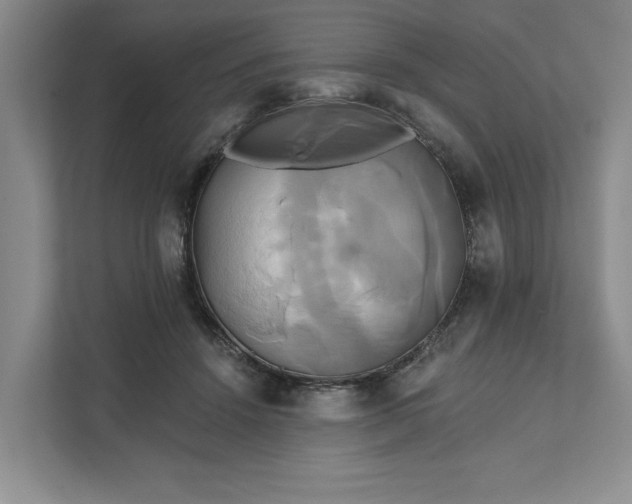 X0000111820456200908061139