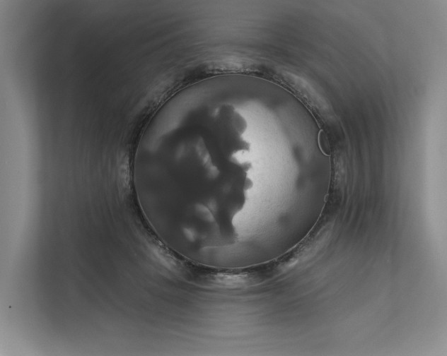 X0000111820457200908061139