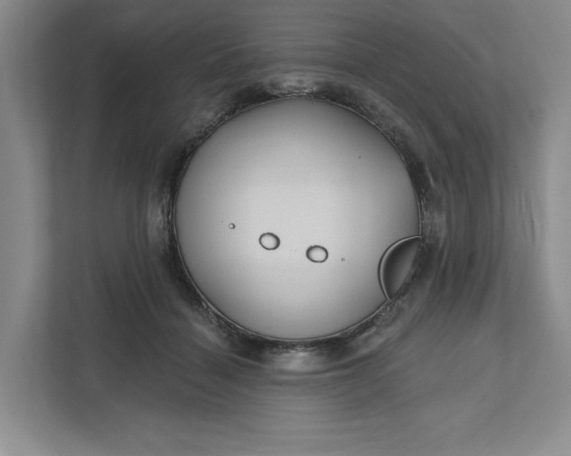 X0000111820460200908061139