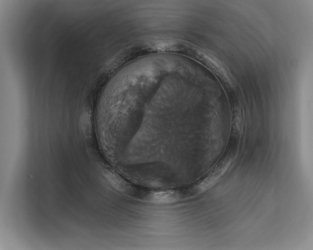 X0000111820461200908061139