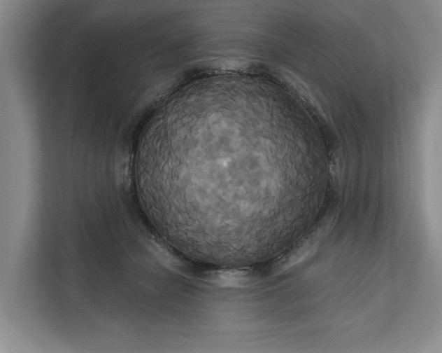 X0000111820462200908061139