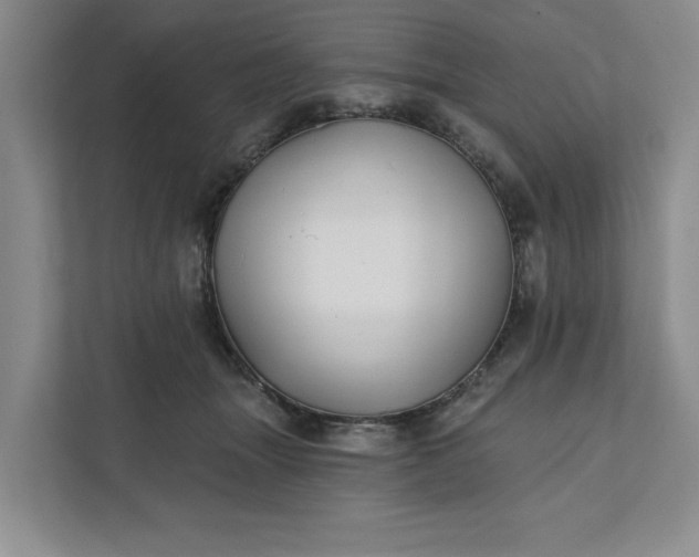 X0000111820463200908061139