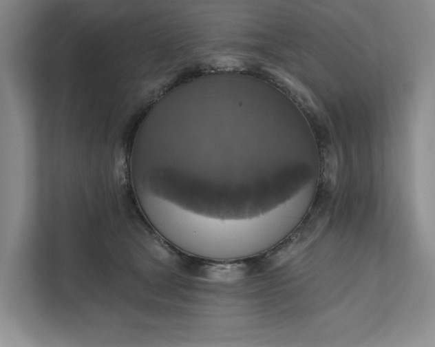 X0000111820465200908061139