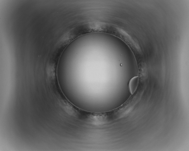 X0000111820466200908061139