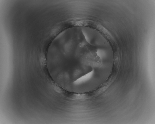 X0000111820469200908061139