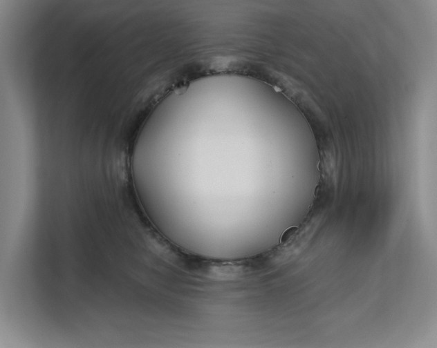 X0000111820470200908061139