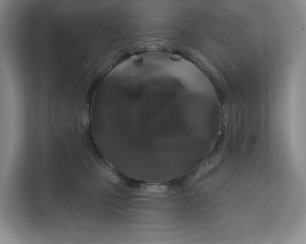 X0000111820471200908061139