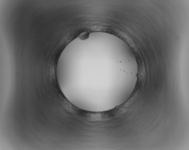 X0000111820473200908061139