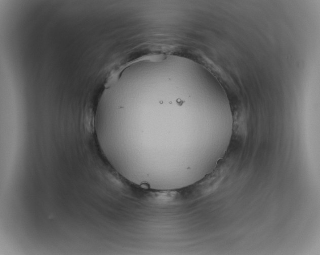 X0000111820474200908061139