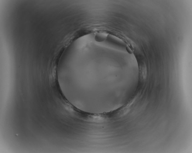 X0000111820475200908061139