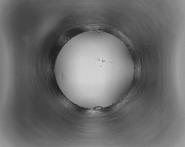 X0000111820477200908061139