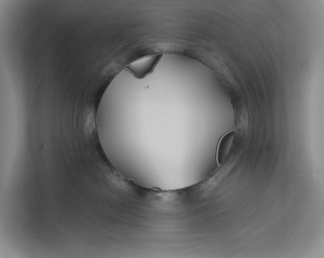 X0000111820478200908061139