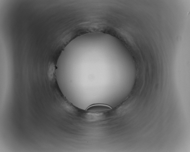 X0000111820480200908061139