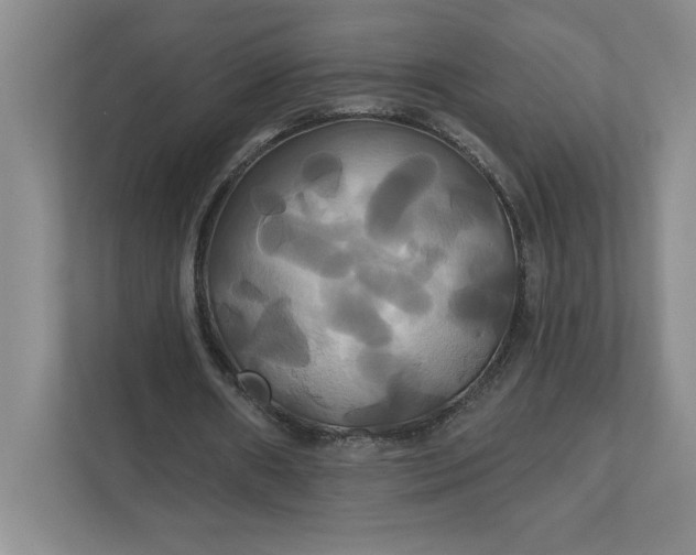 X0000111820482200908061138