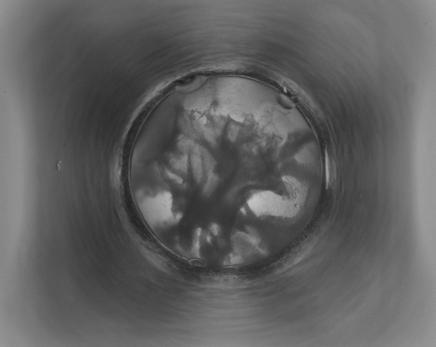 X0000111820483200908061138