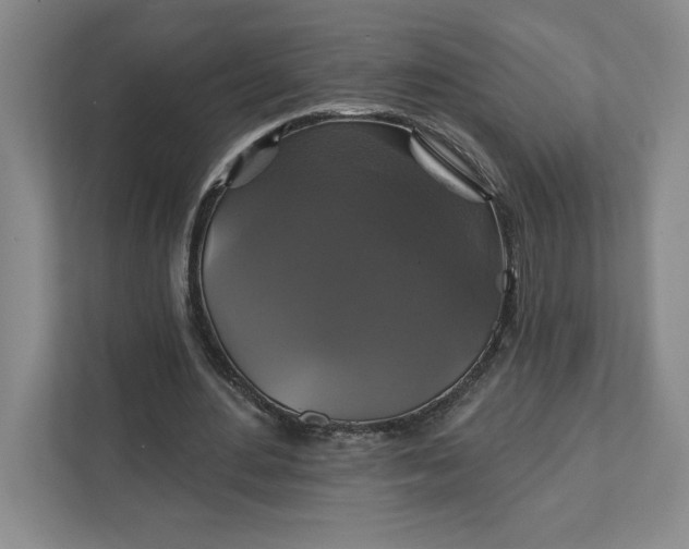 X0000111820484200908061138