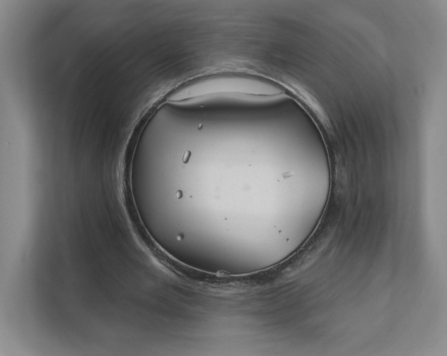 X0000111820485200908061138