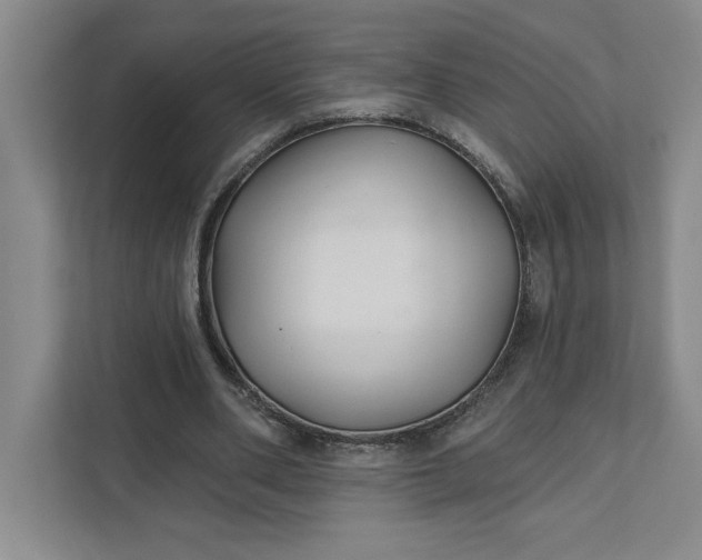 X0000111820486200908061138