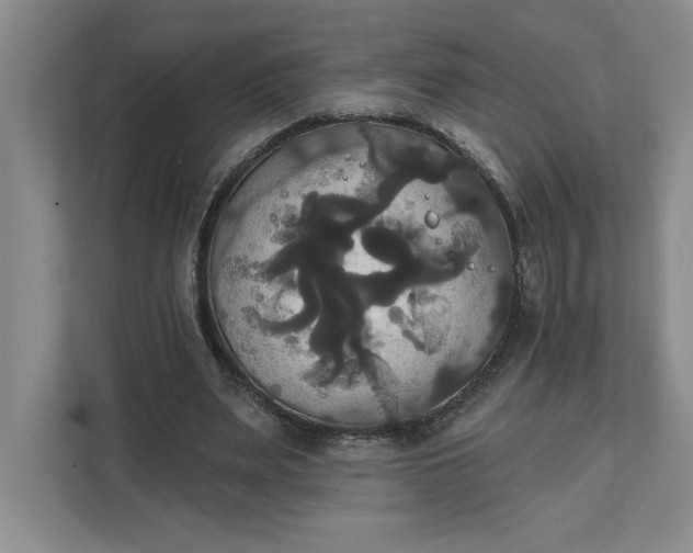 X0000111820487200908061138