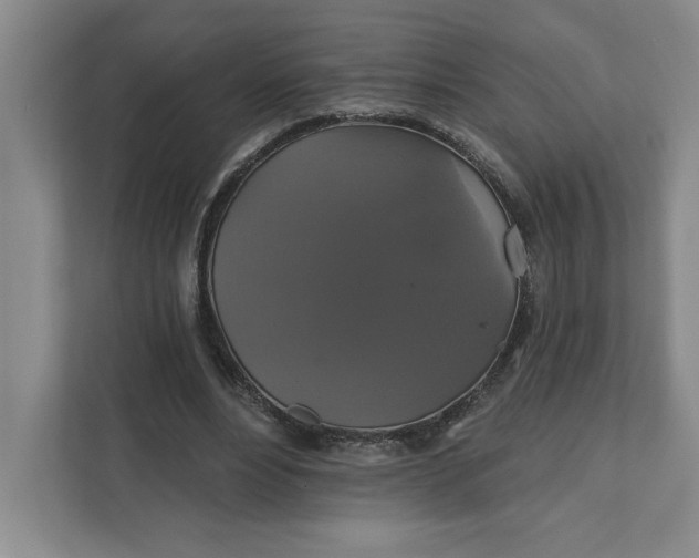 X0000111820488200908061138