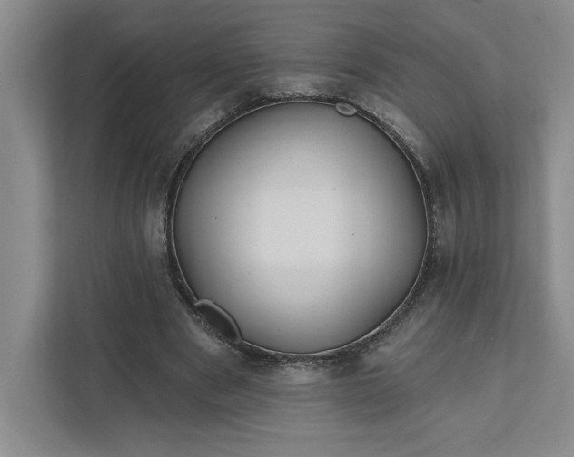 X0000111820489200908061138