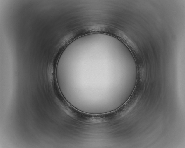 X0000111820490200908061138