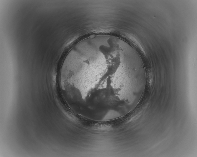 X0000111820491200908061138