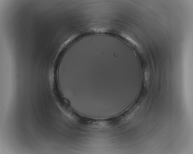 X0000111820492200908061138