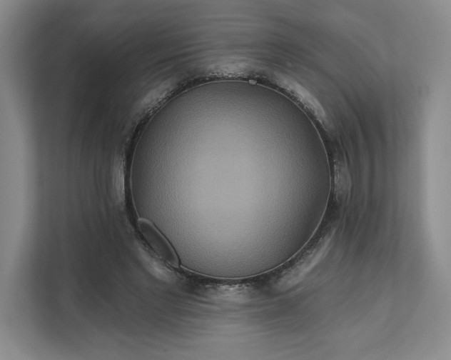 X0000111820493200908061138