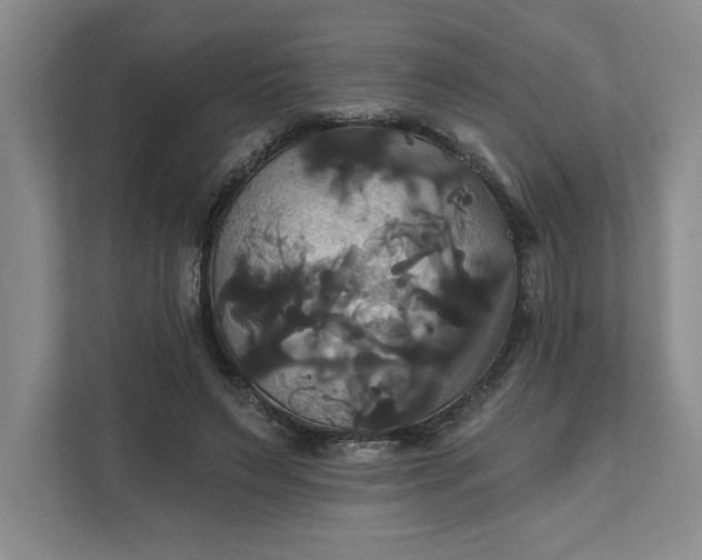 X0000111820495200908061138