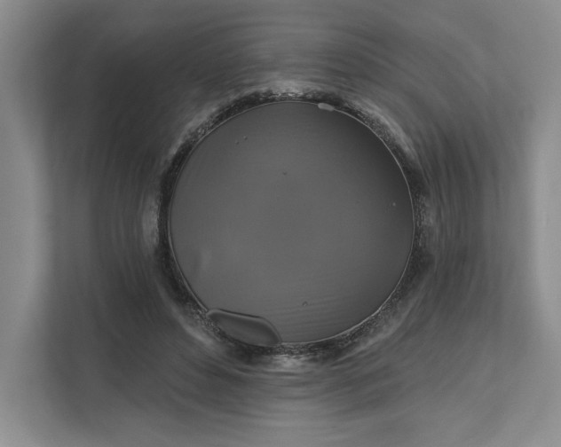 X0000111820496200908061138