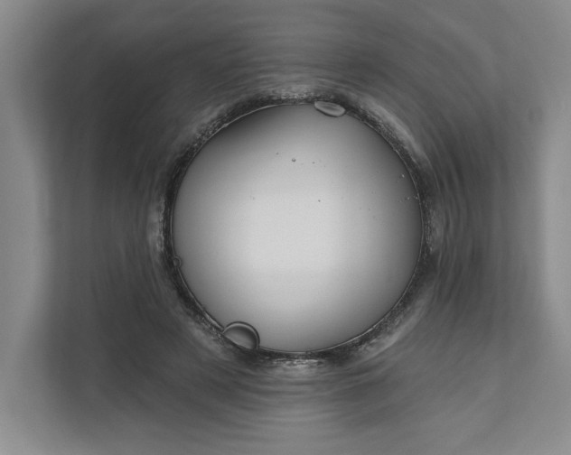 X0000111820497200908061138