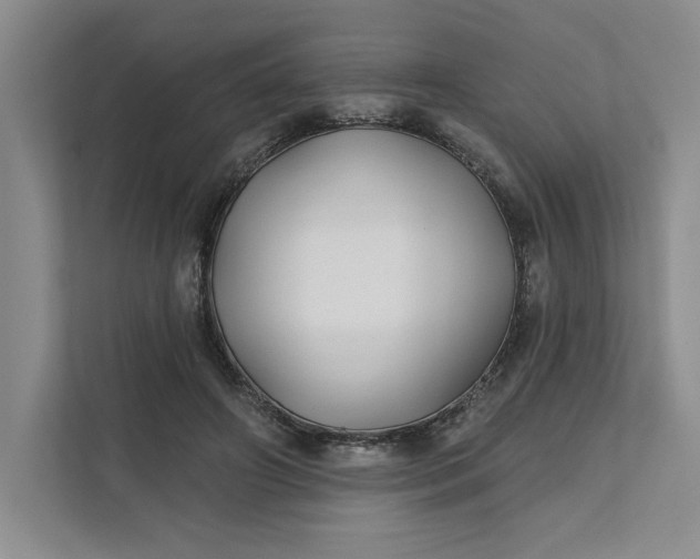 X0000111820498200908061138