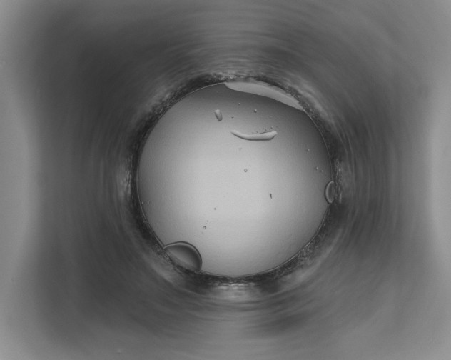 X0000111820499200908061138