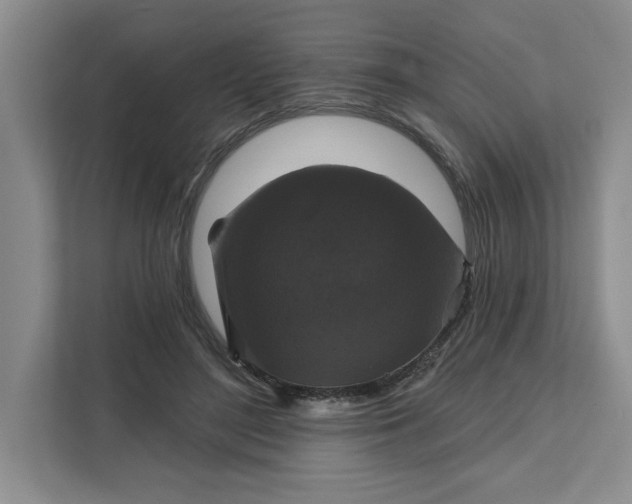 X0000111820500200908061138