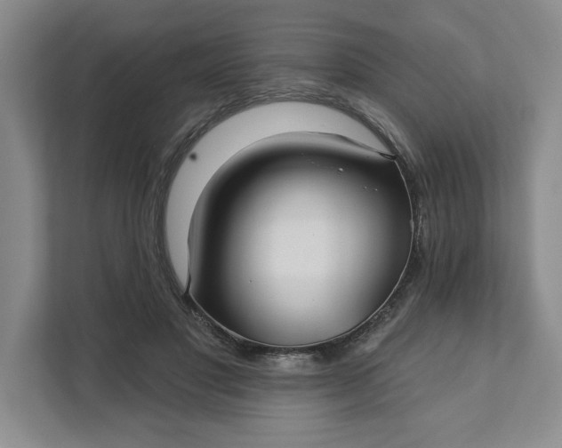 X0000111820501200908061138