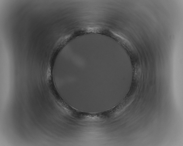 X0000111820502200908061138