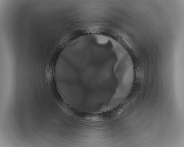 X0000111820503200908061138