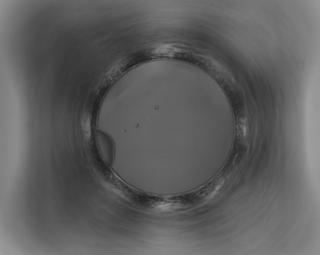 X0000111820504200908061138