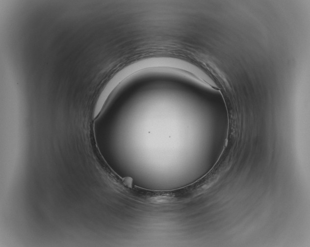 X0000111820505200908061138