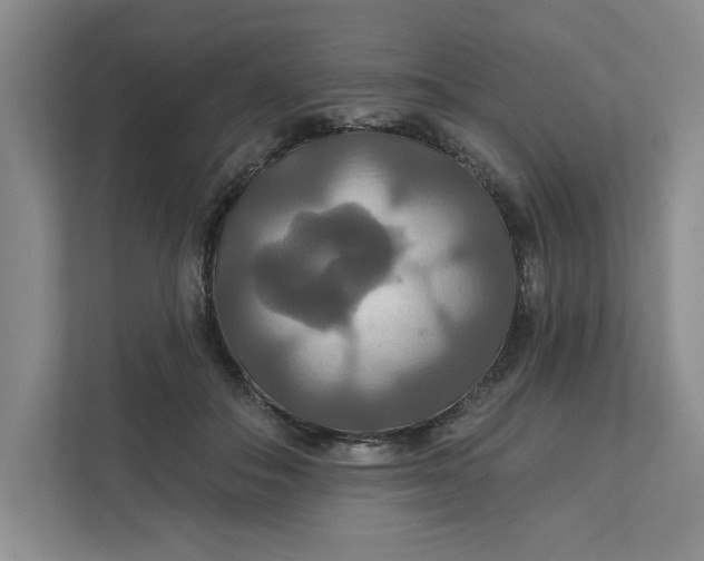 X0000111820506200908061138